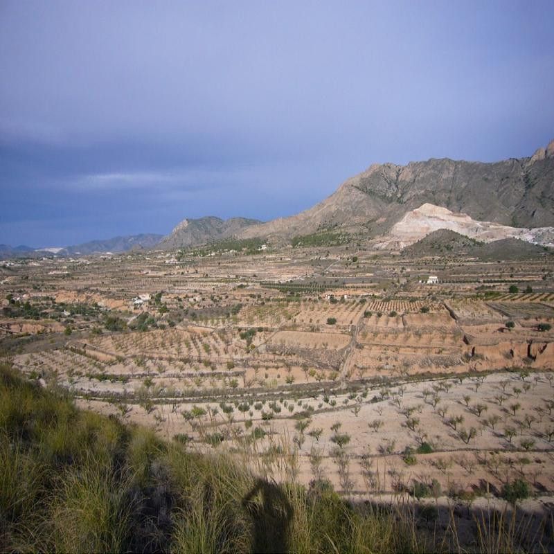 Villa con 3 camere a Murcia, Spagna – Foto 16