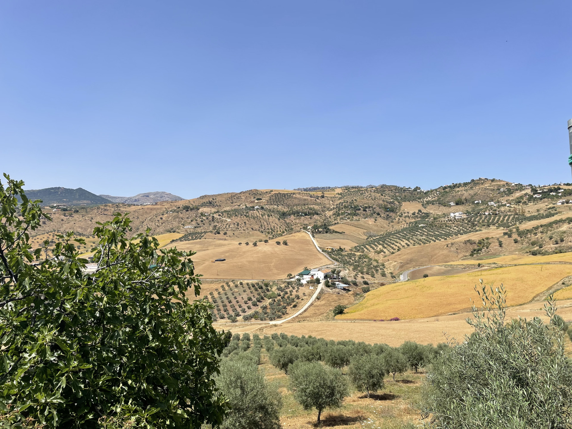 14 Bedroom Country house in Villanueva de la Concepción - Photo 4