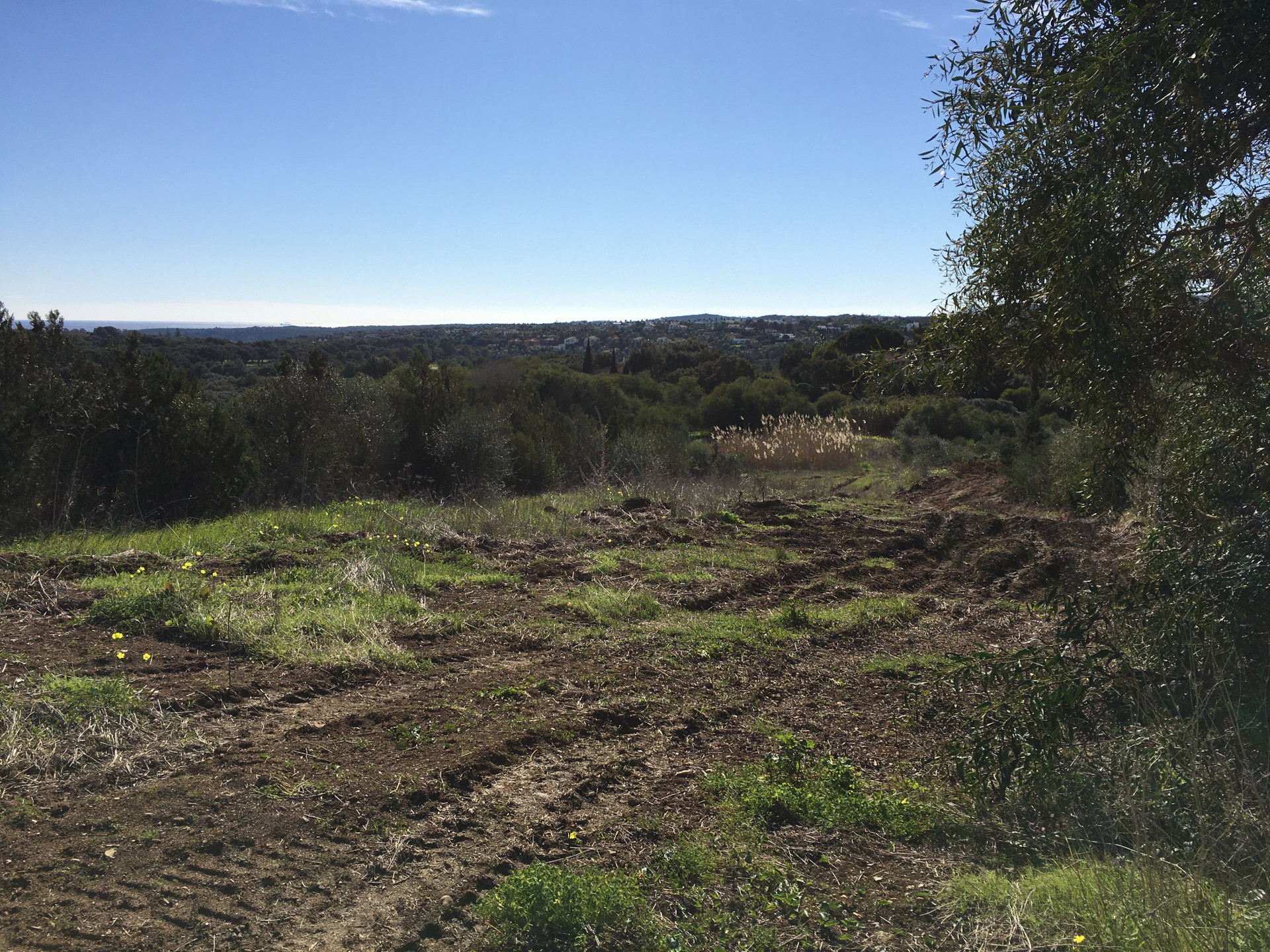 3,376 m² Plot in Sotogrande - Photo 14