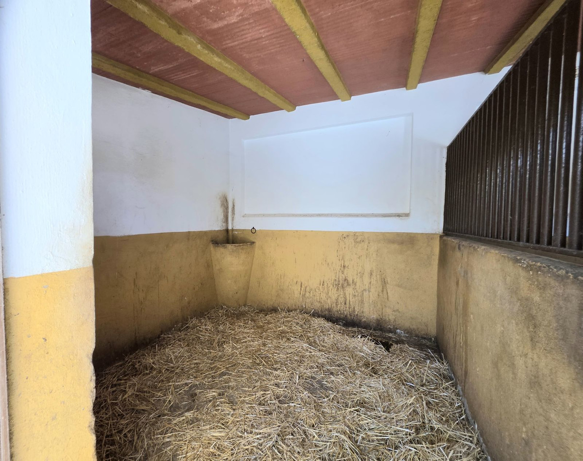 Moradia com 4 quartos com piscina em Sevilla, Espanha – Foto 14