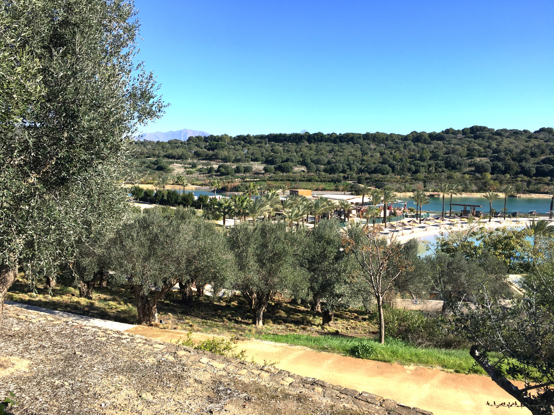 3,376 m² Plot in Sotogrande - Photo 18