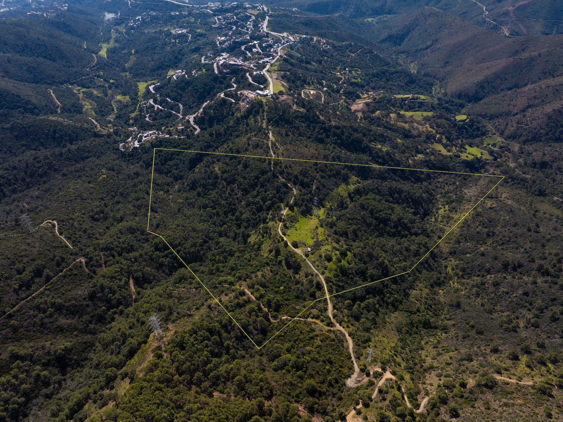 Plot in Monte Mayor