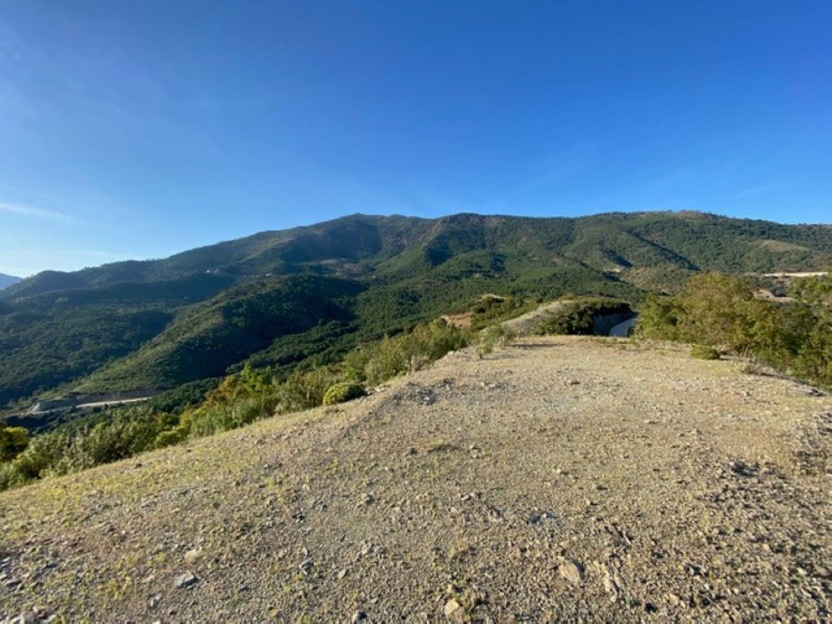 12,563 m² Plot in Benahavís - Photo 8