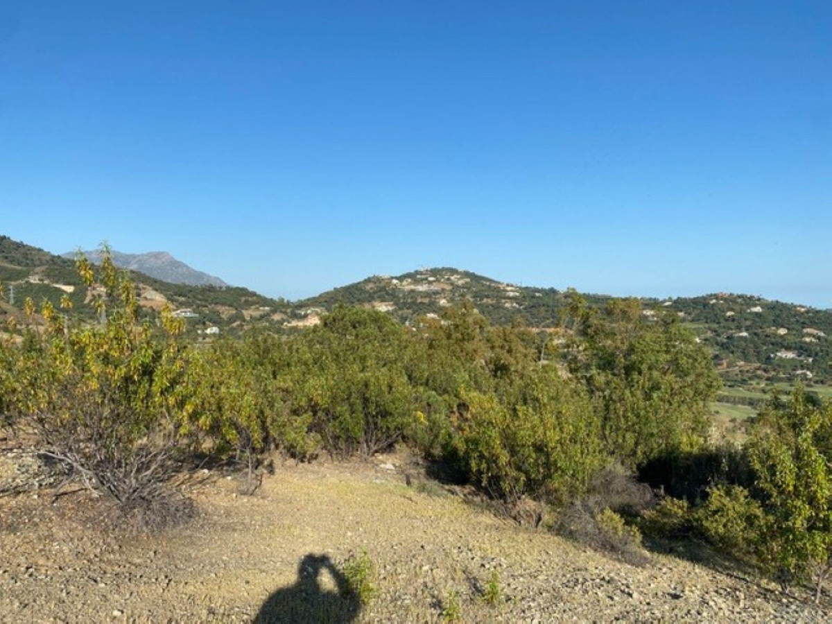 12,563 m² Plot in Benahavís - Photo 15