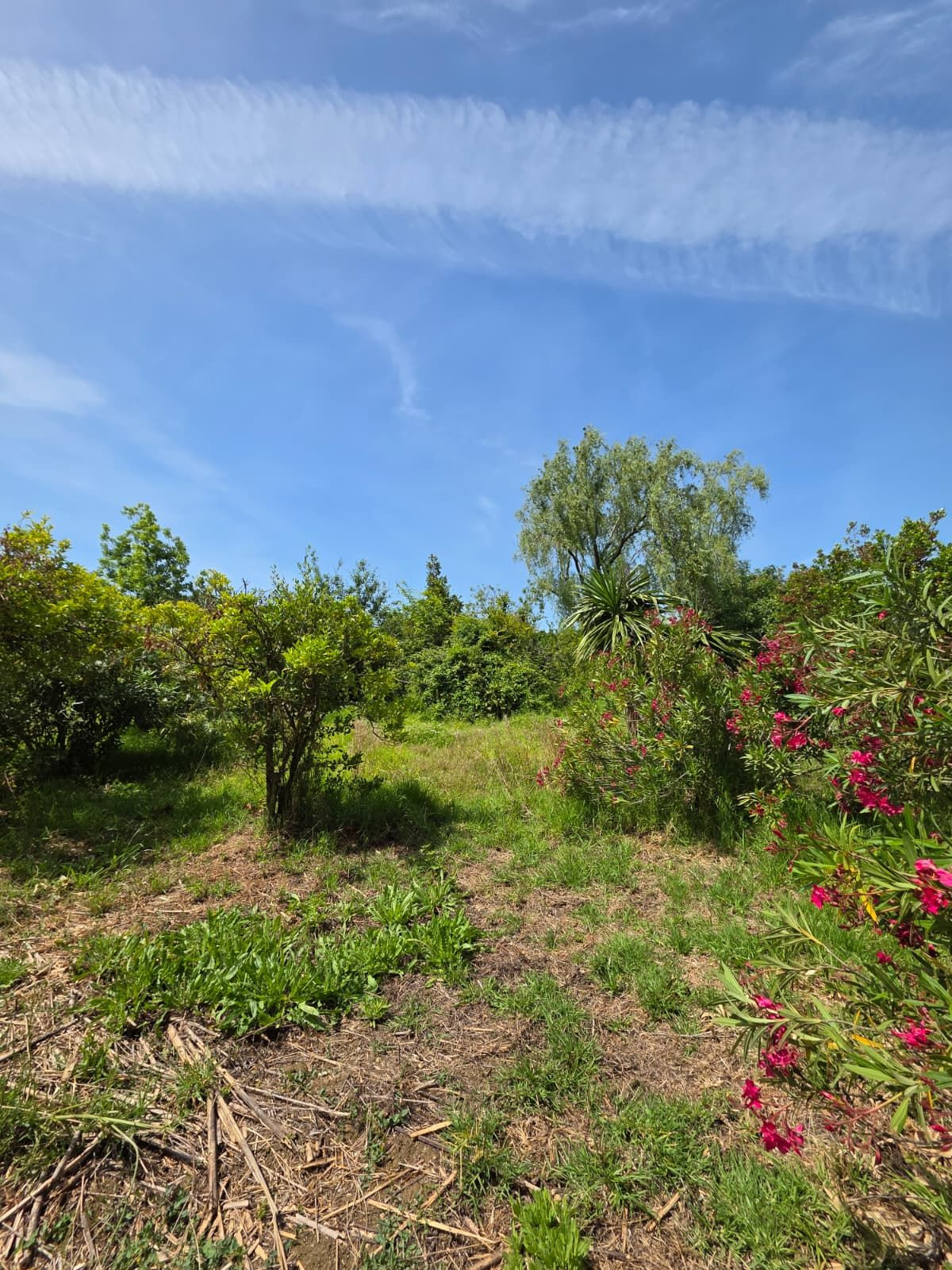 4 Bedroom Country house in Alhaurín el Grande - Photo 72