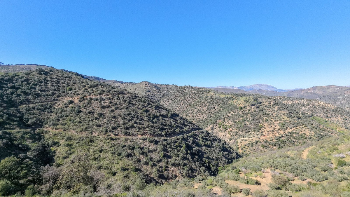116,511 m² Plot in Málaga - Photo 10