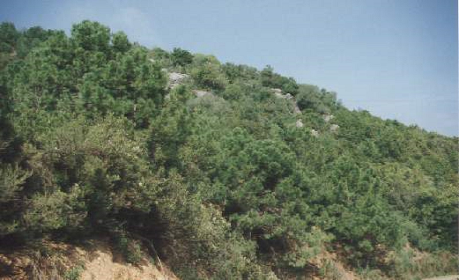95,000 m² Plot in Estepona - Photo 2