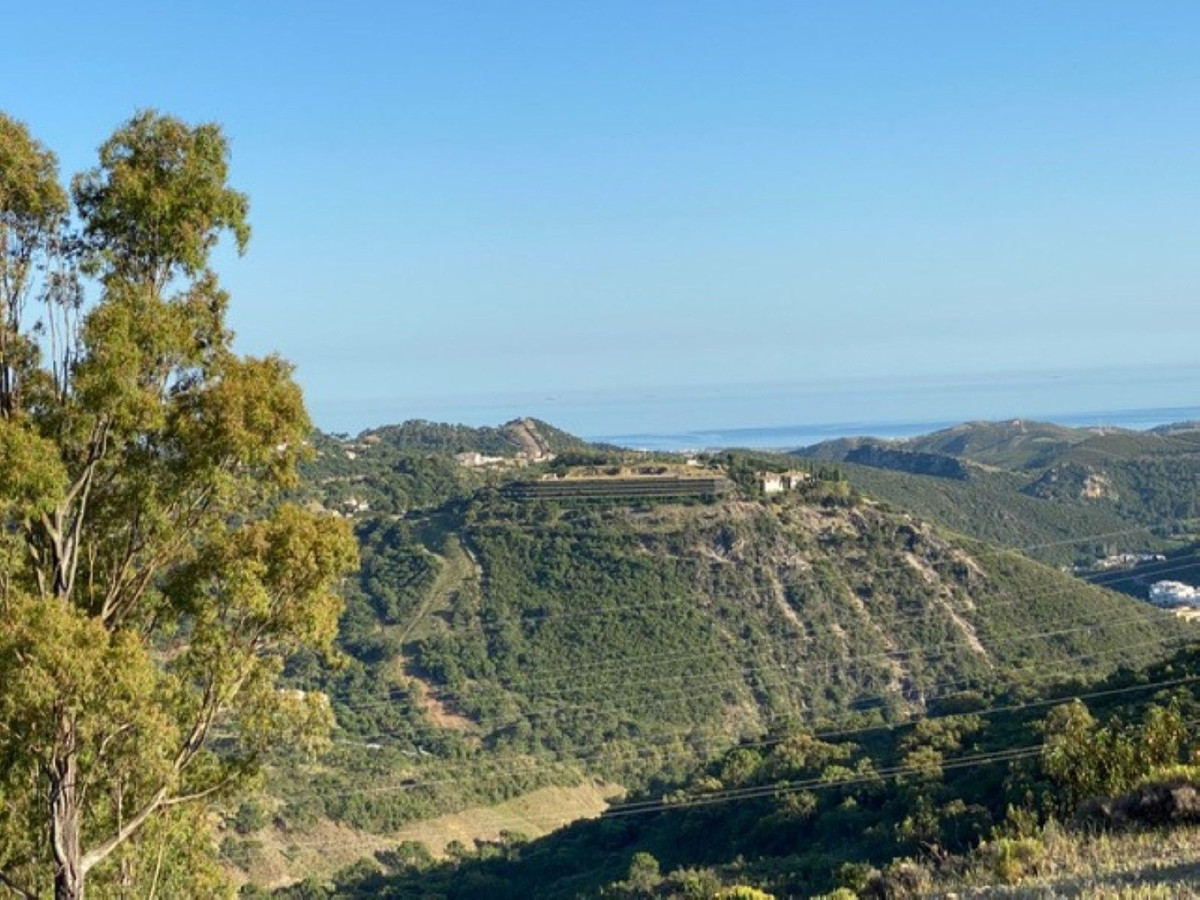 12,563 m² Plot in Benahavís - Photo 12