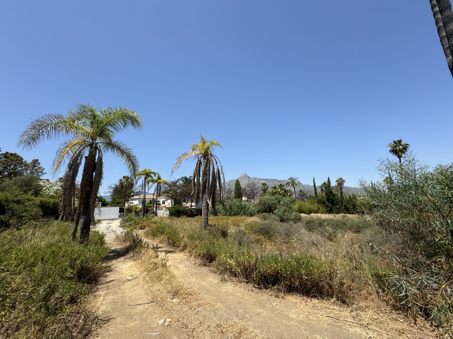 3,607 m² Plot in Marbella - Photo 9