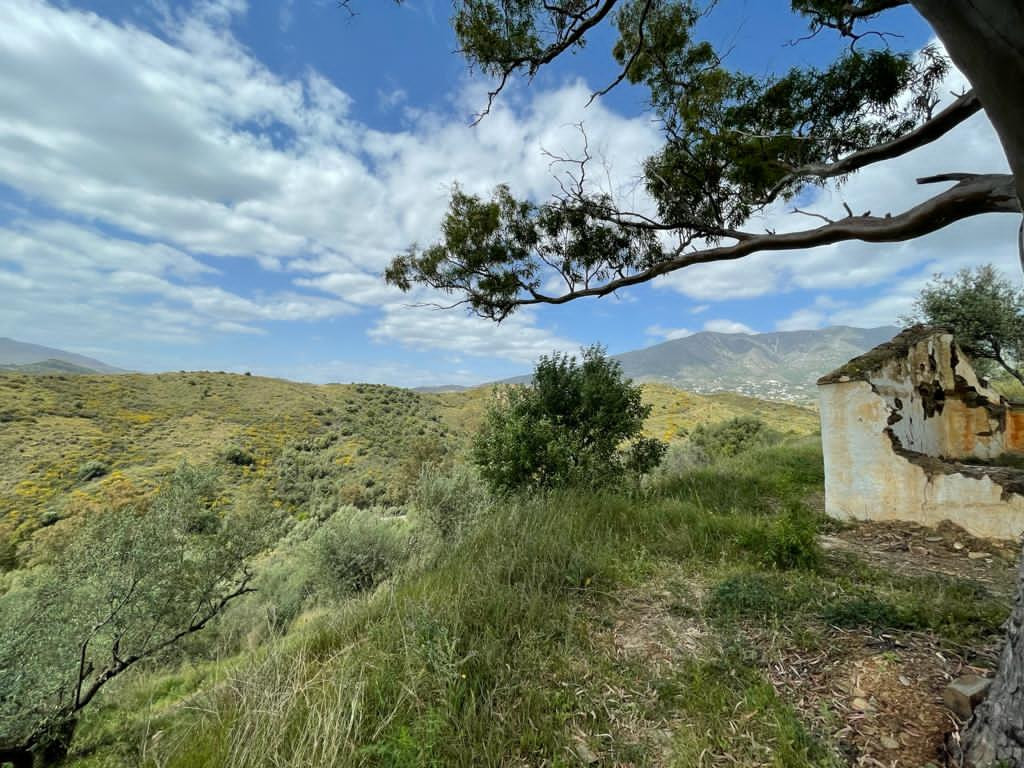 11,590 m² Plot in Mijas