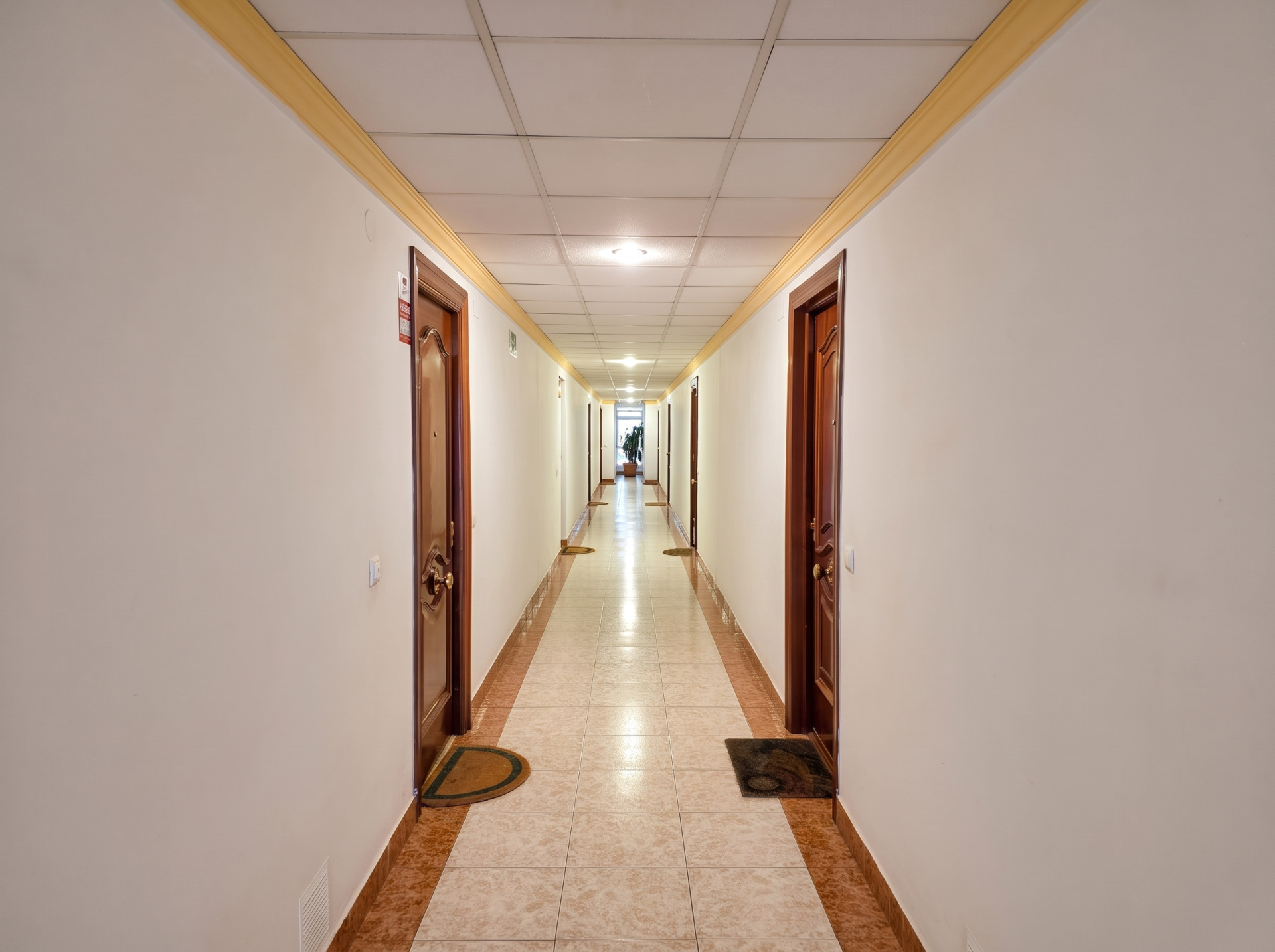 1 Bedroom Apartment in Marbella - Photo 16