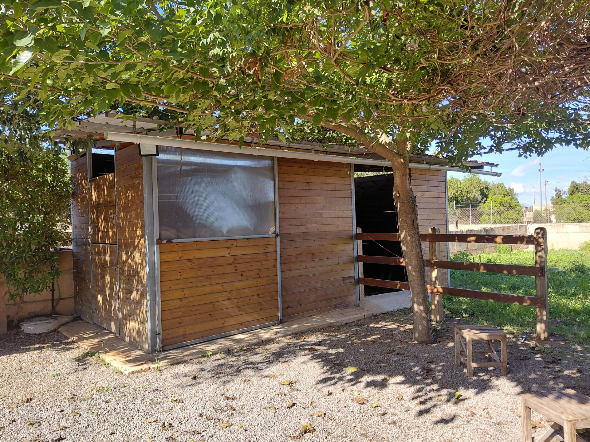 Villa con 1 camera a Baleari, Spagna – Foto 14