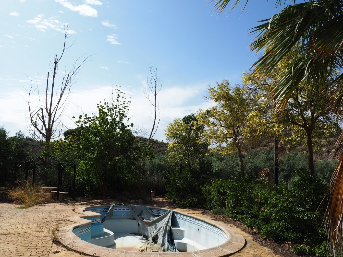 Chalet de 3 dormitorios con piscina en Granada – Foto 2