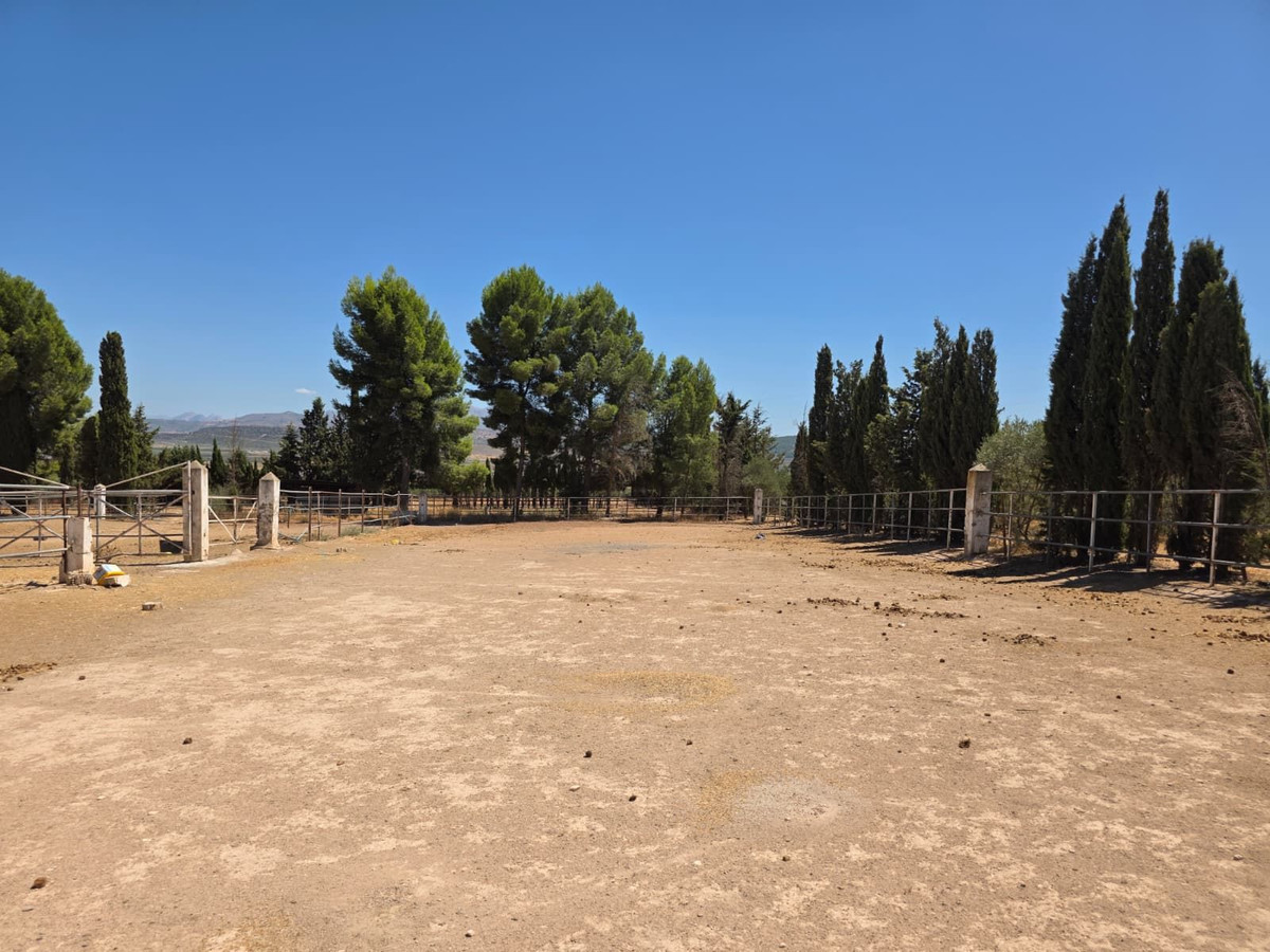8 Bedroom Country house in Antequera - Photo 70