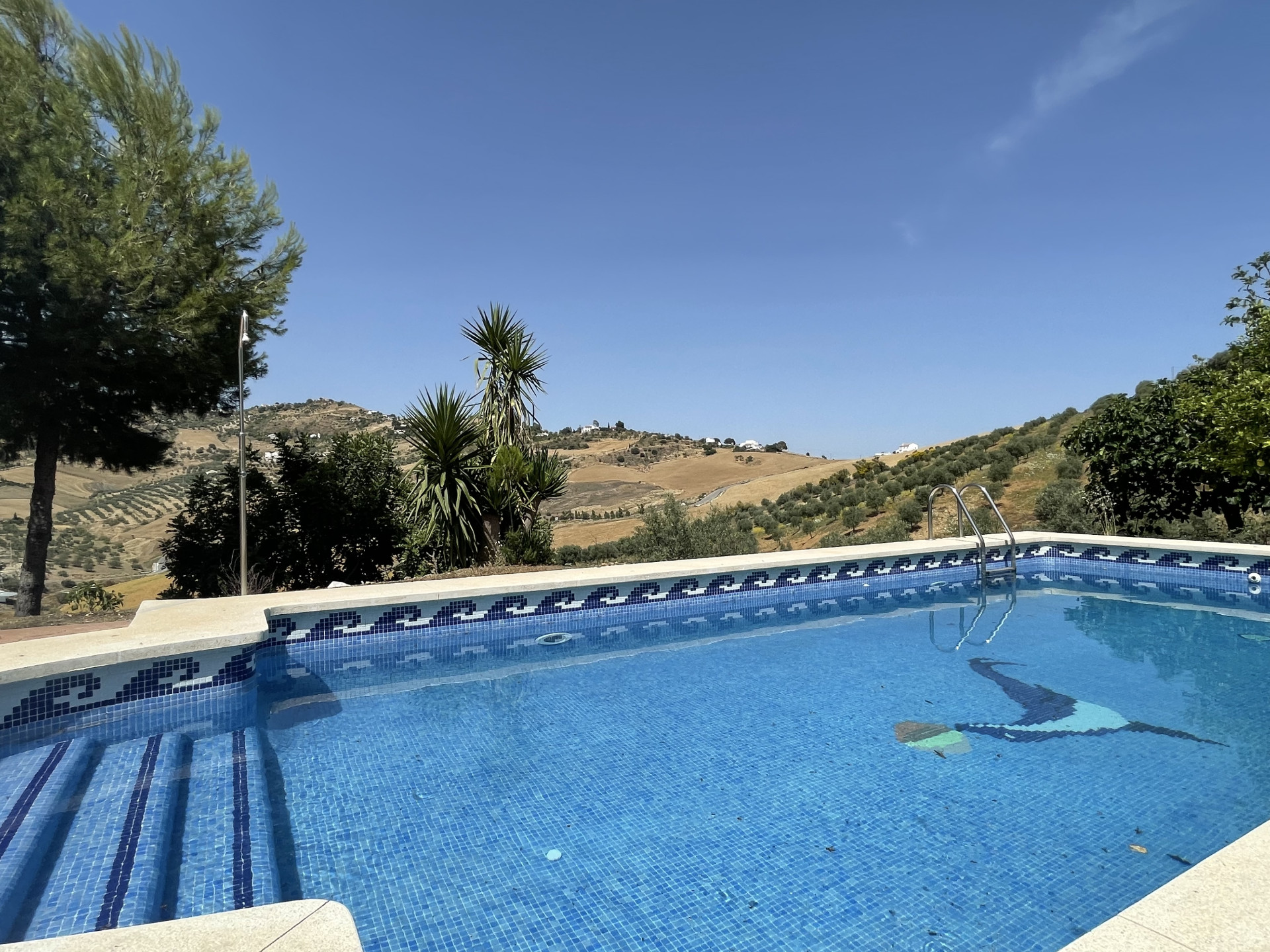 14 Bedroom Country house in Villanueva de la Concepción - Photo 43