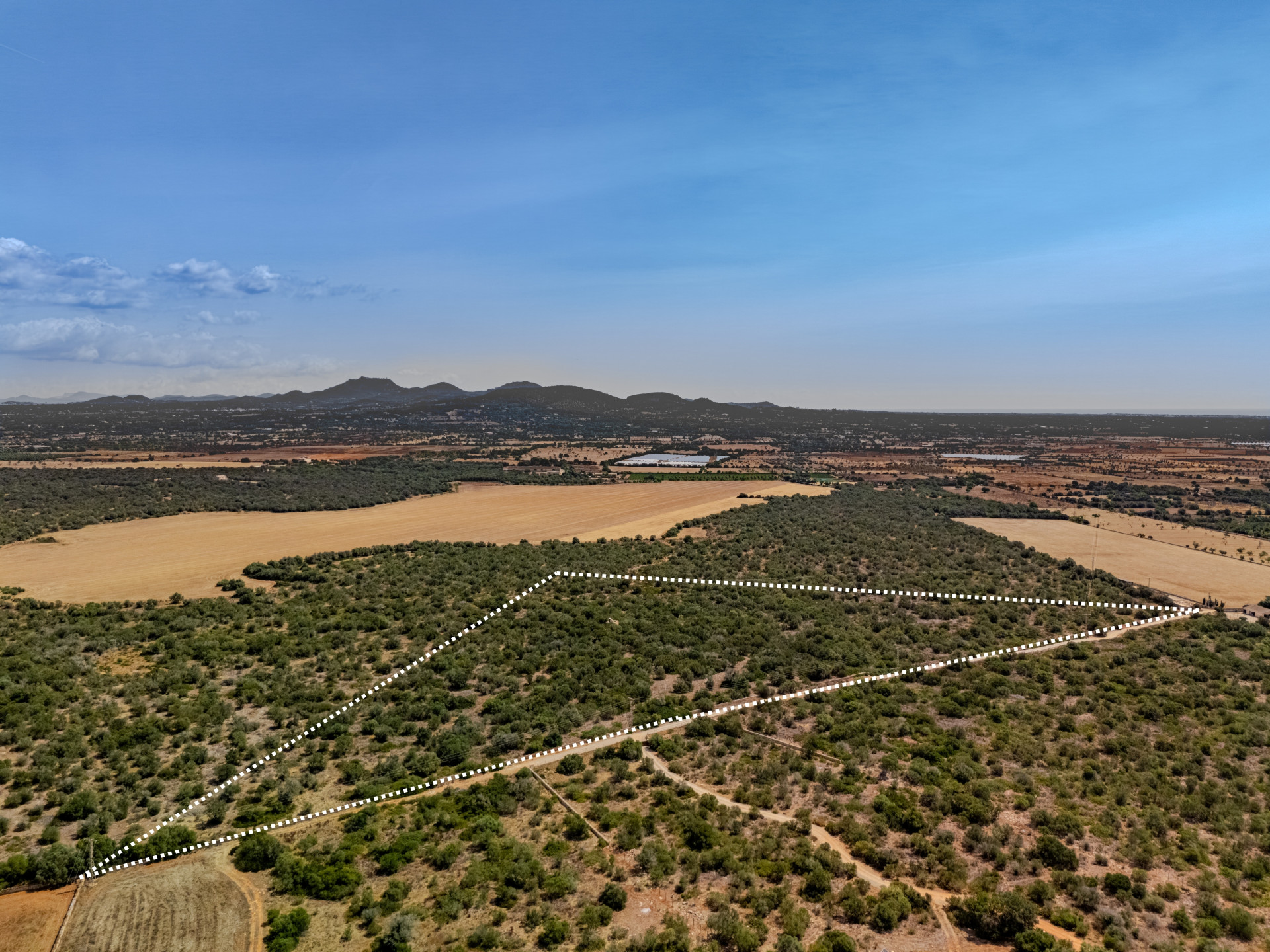 Plot in Santanyi