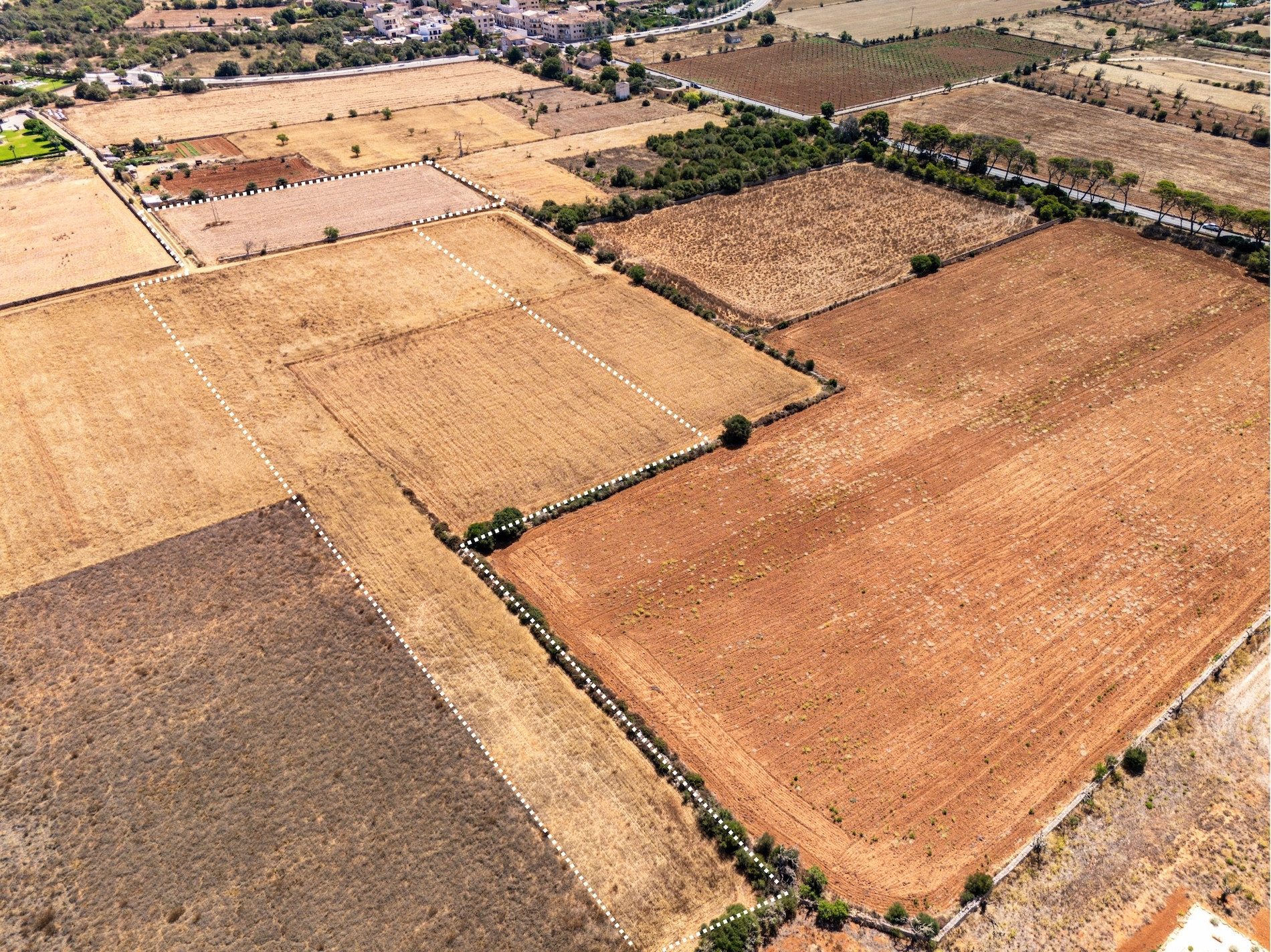 Plot in Santanyi