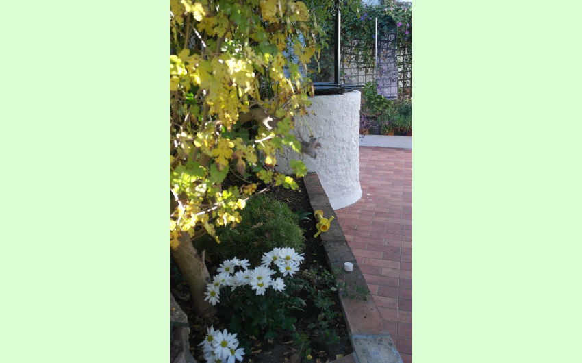 3 Bedroom Villa in Jimena de la Frontera - Photo 22