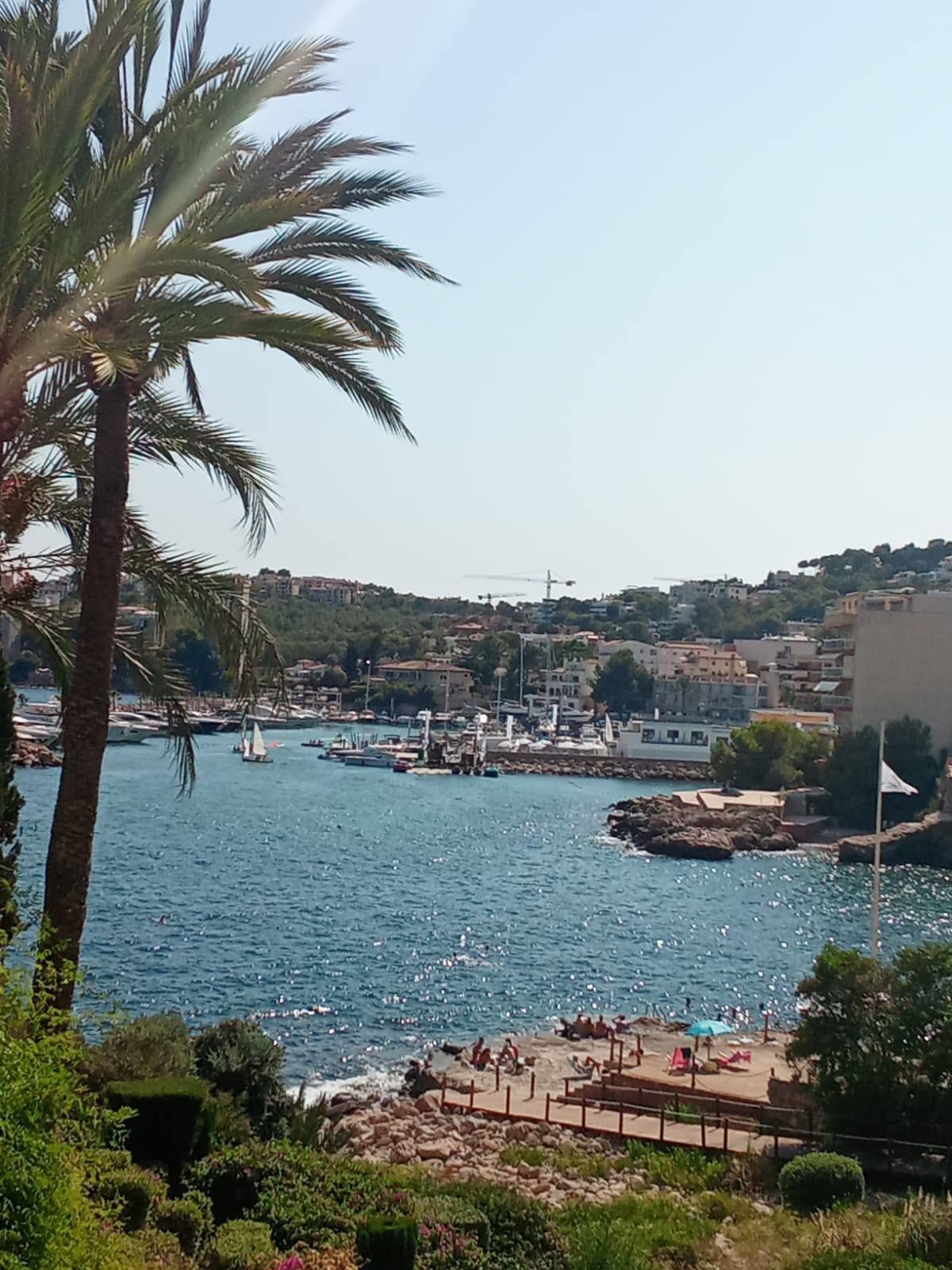 Gewerbefläche mit Pool in Balearen, Spanien – Foto 7