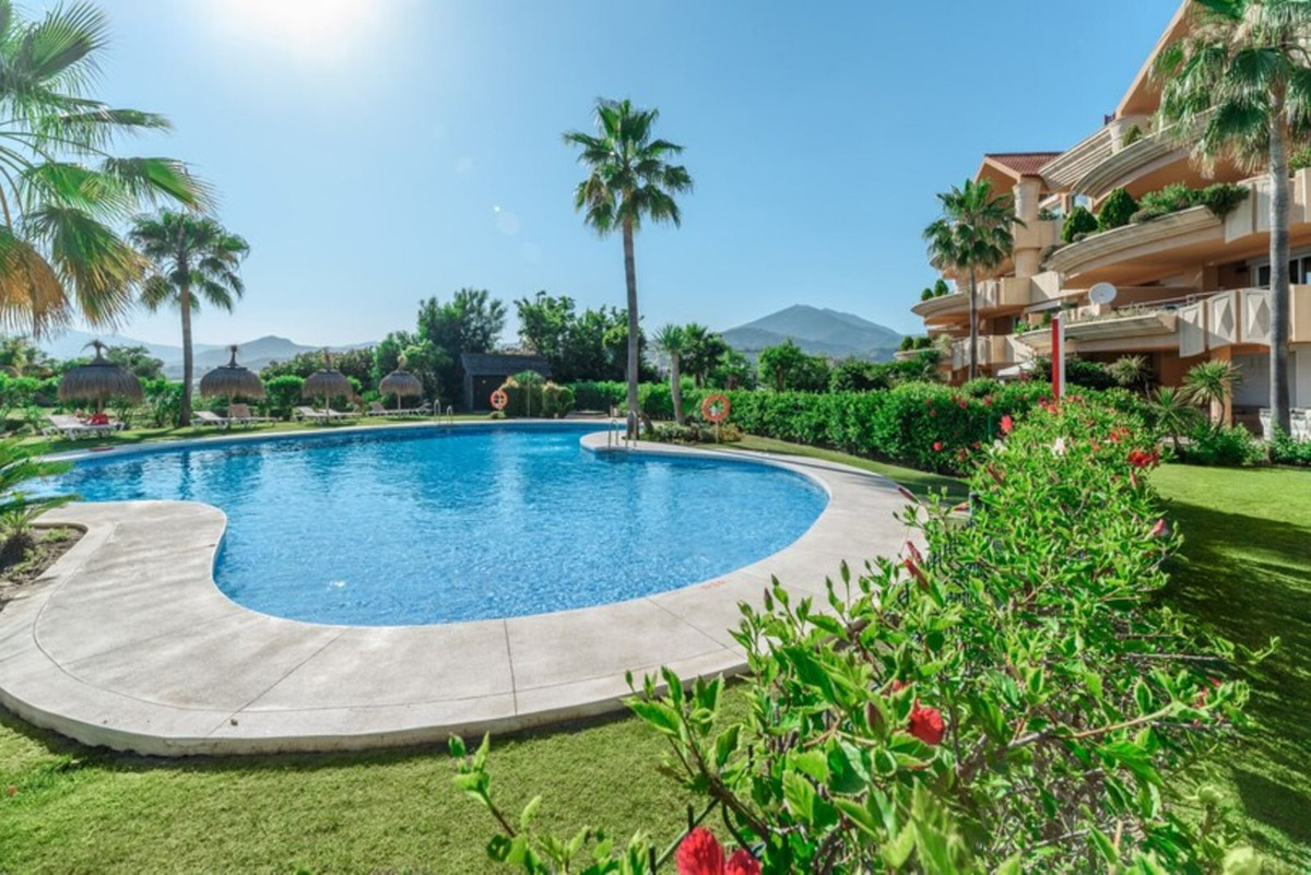 Commercial premises with pool in Malaga, Spain – Photo 14