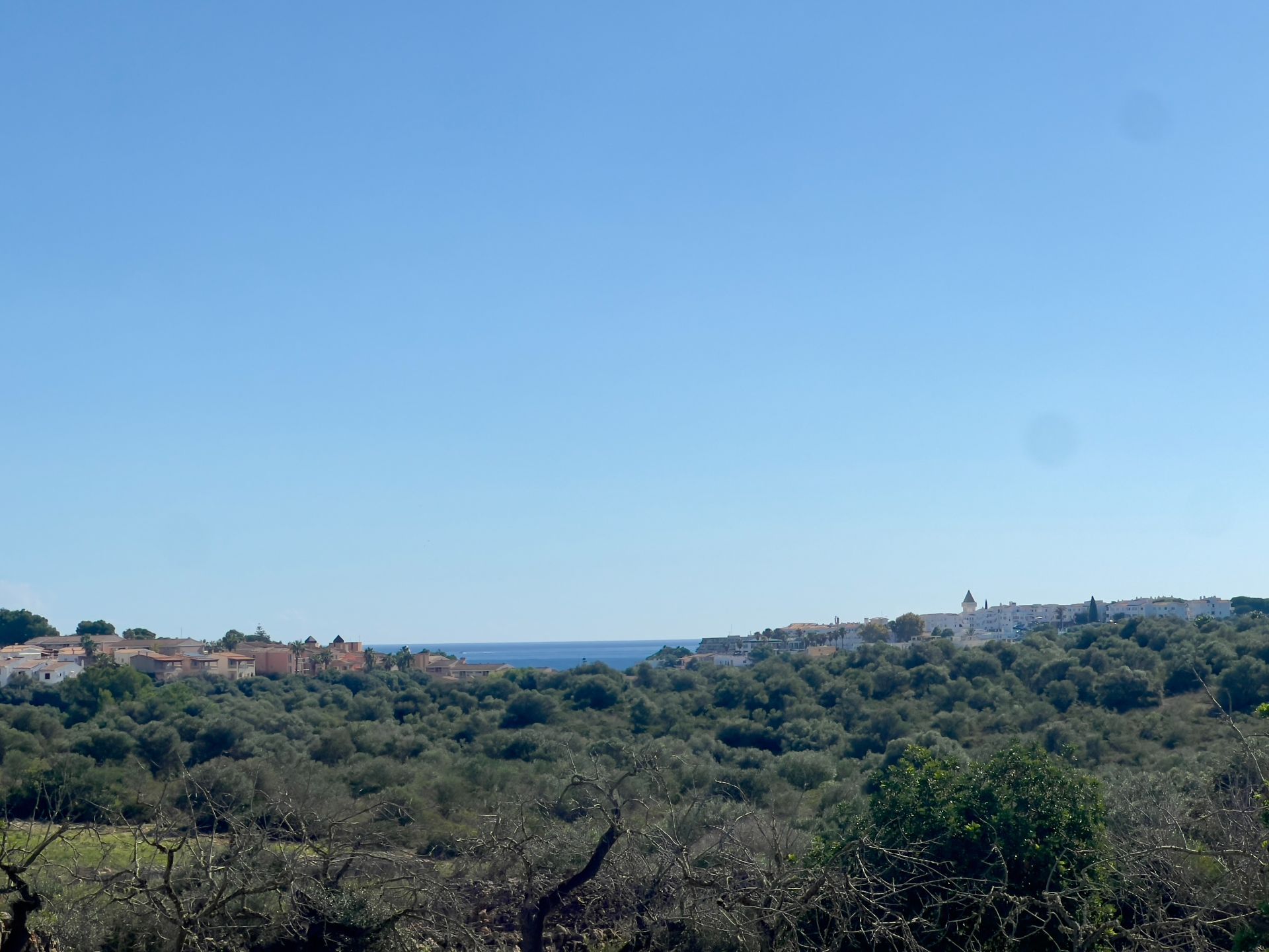 Plot in Manacor