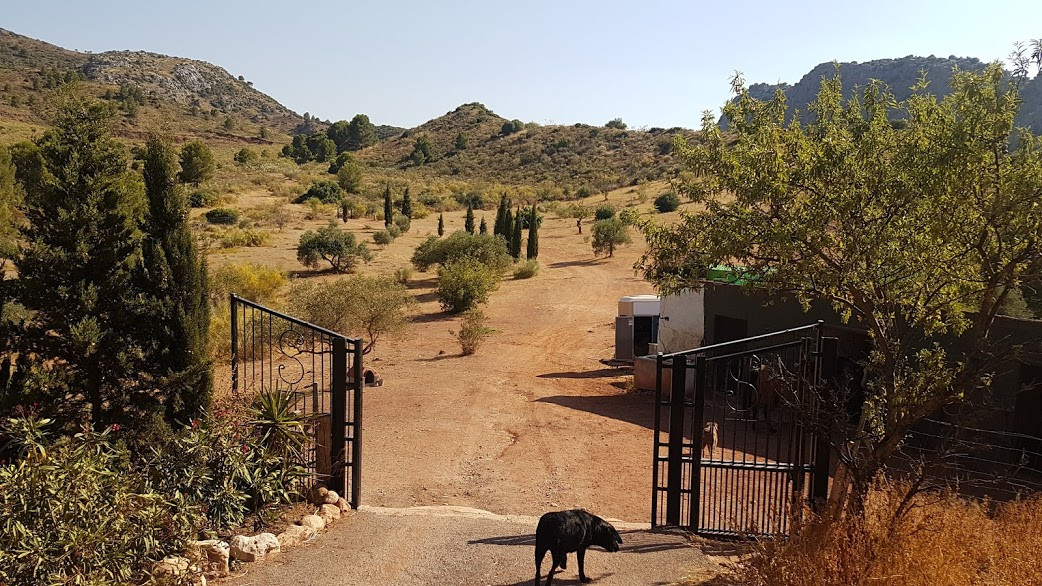 Moradia com 3 quartos com piscina em Málaga, Espanha – Foto 30