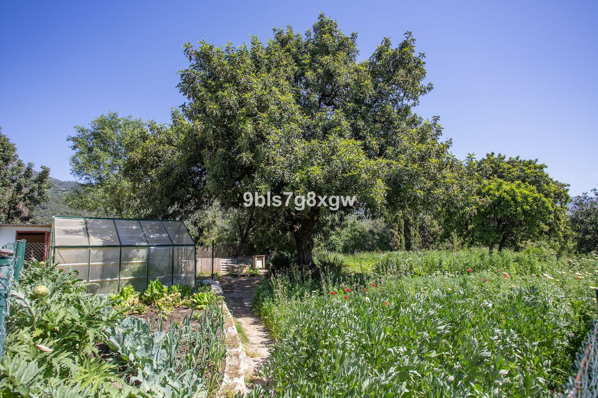 9 Bedroom Country house in Gaucín - Photo 35