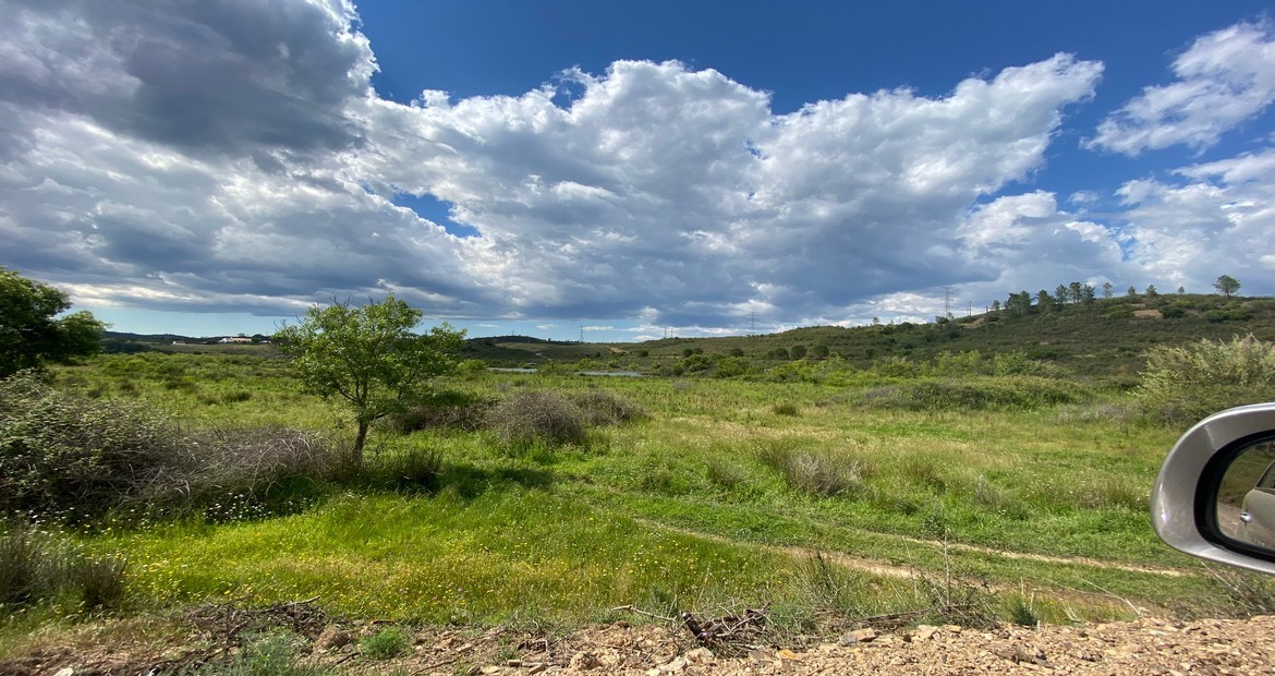 Plot in Silves