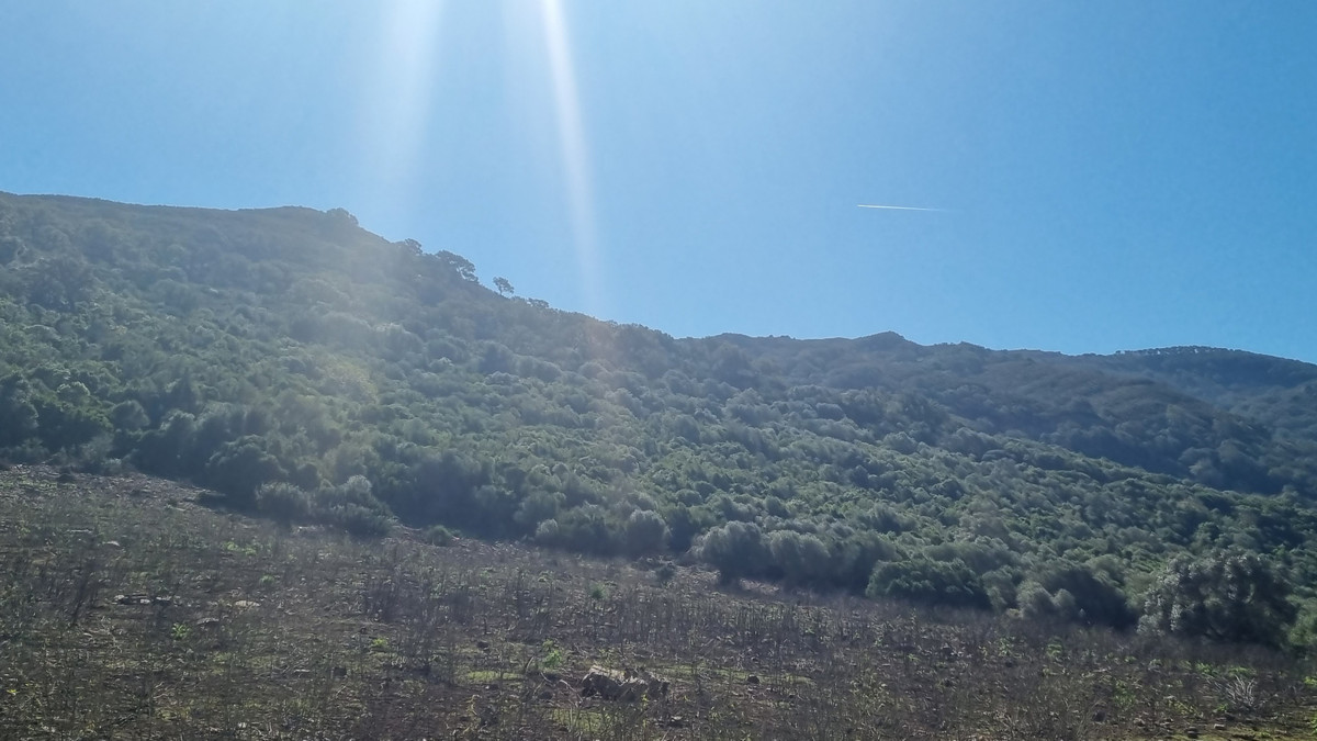 Villa de 3 chambres à Cadix, Espagne – Photo 25