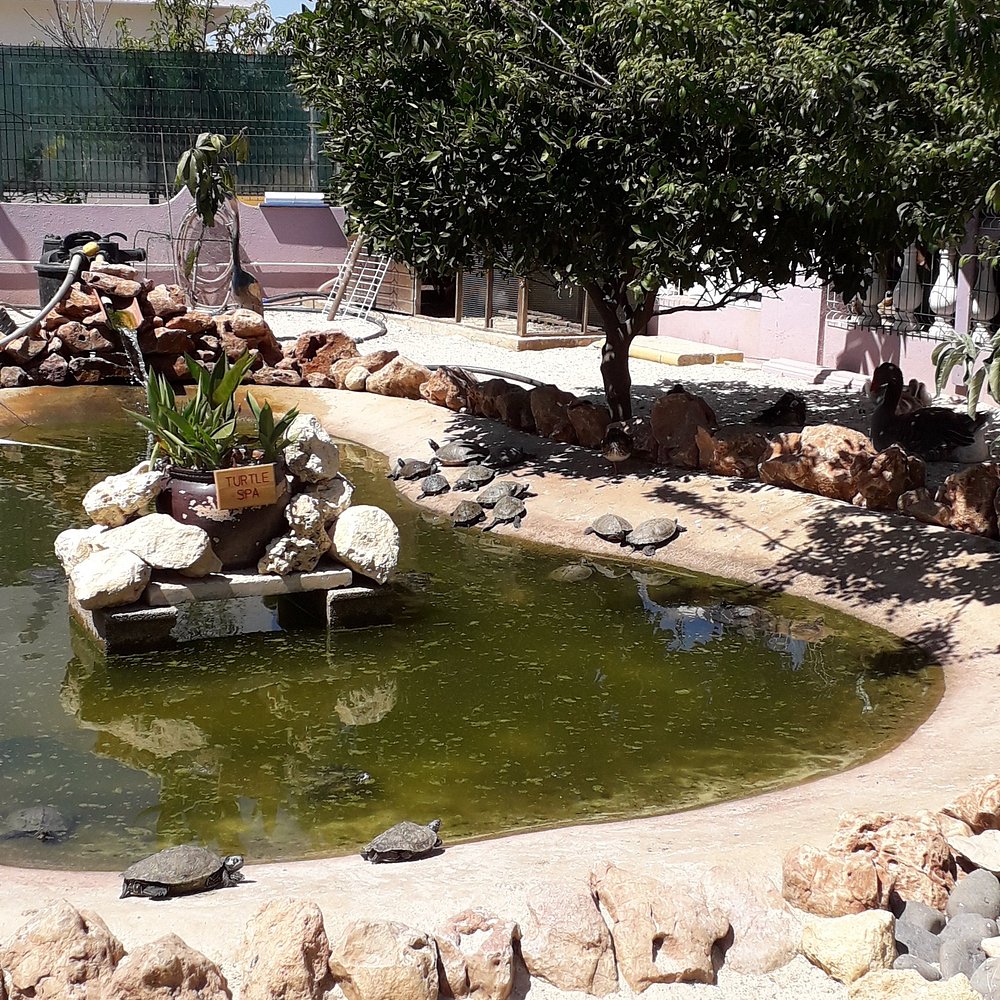 Gewerbefläche mit Pool in Spanien – Foto 15