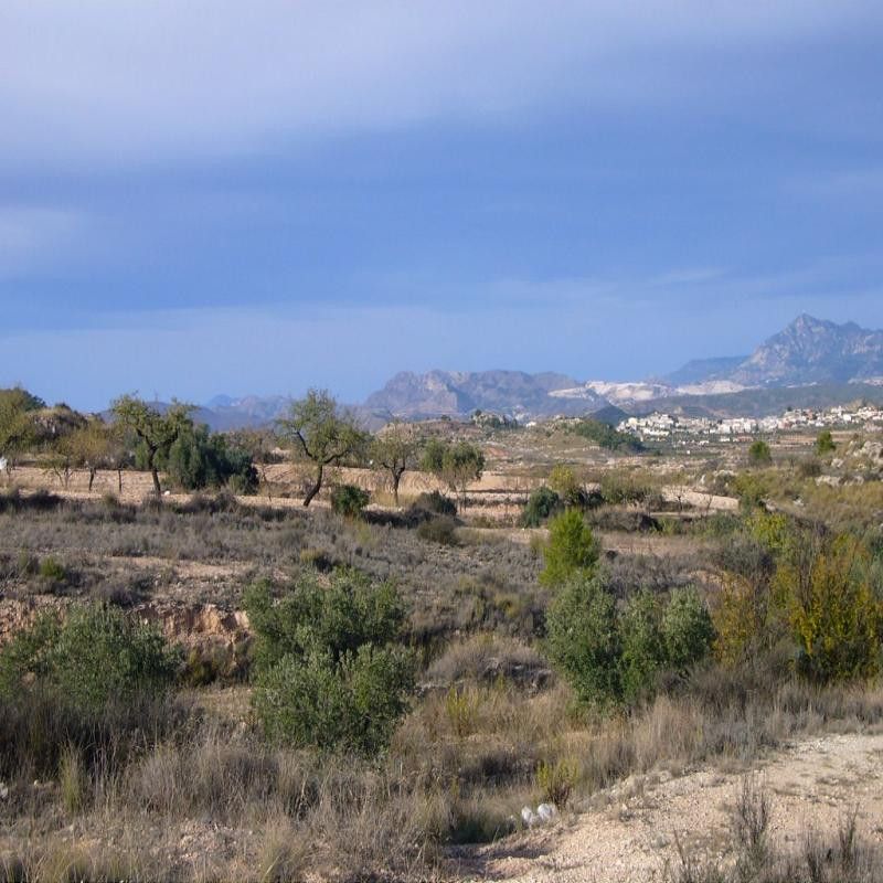 Villa con 3 camere a Murcia, Spagna – Foto 3