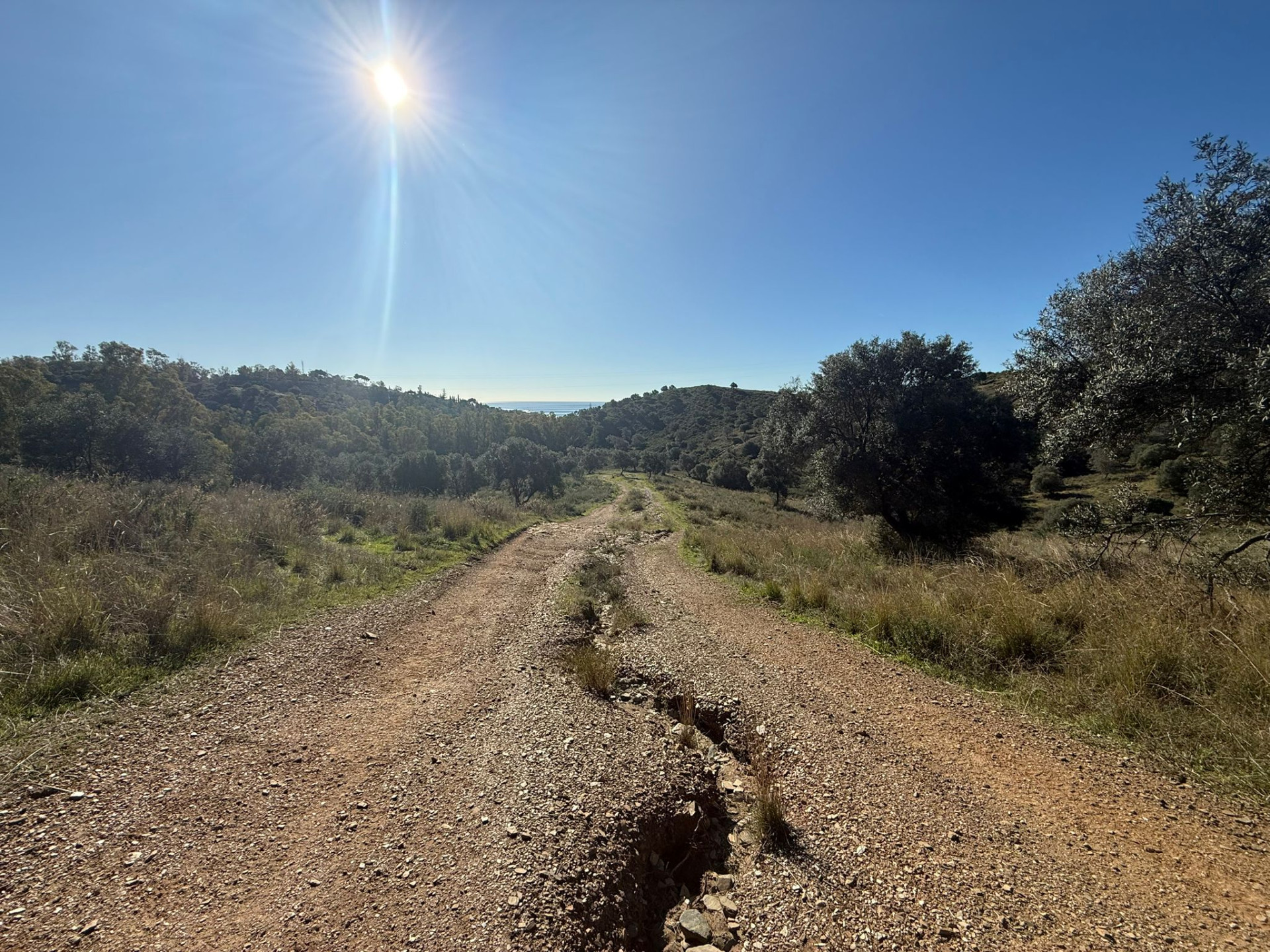 90,882 m² Plot in Mijas - Photo 13