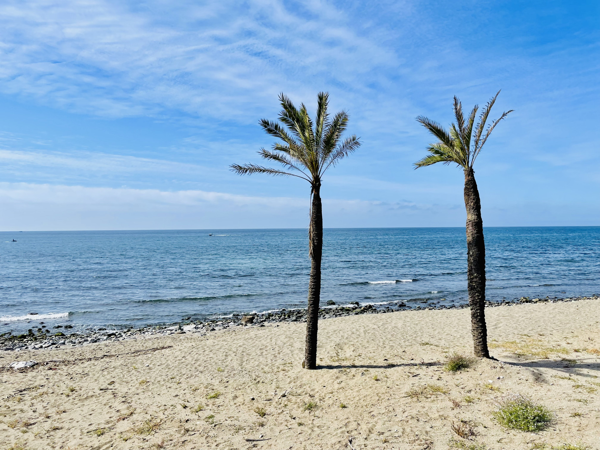 1 Bedroom Apartment in Marbella - Photo 16