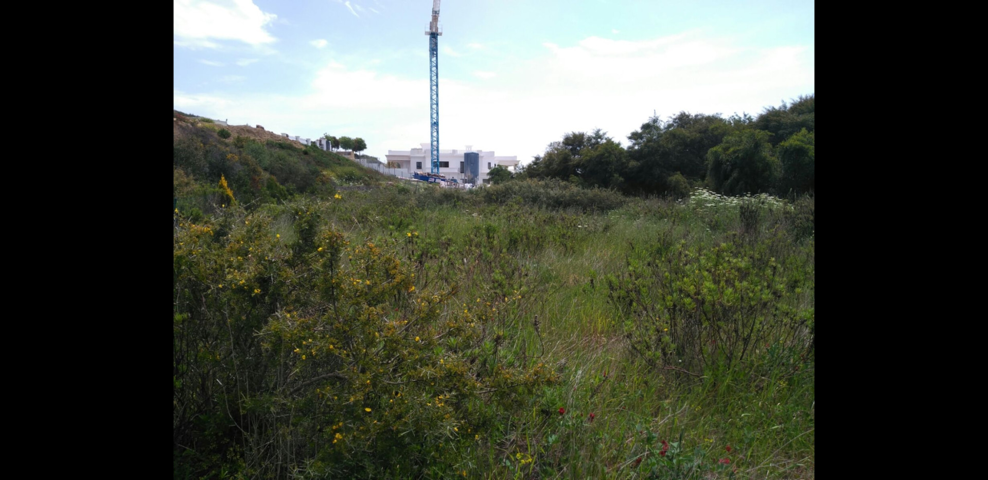 3,376 m² Plot in Sotogrande - Photo 17