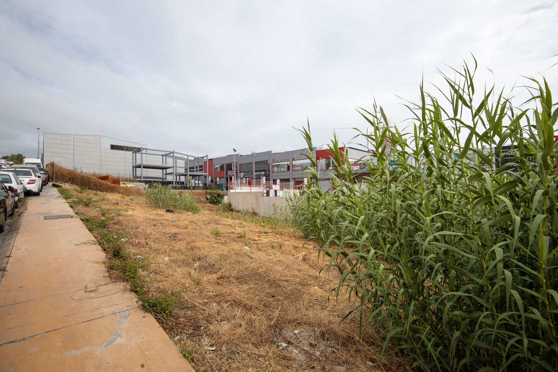 789 m² Plot in San Pedro de Alcántara - Photo 11