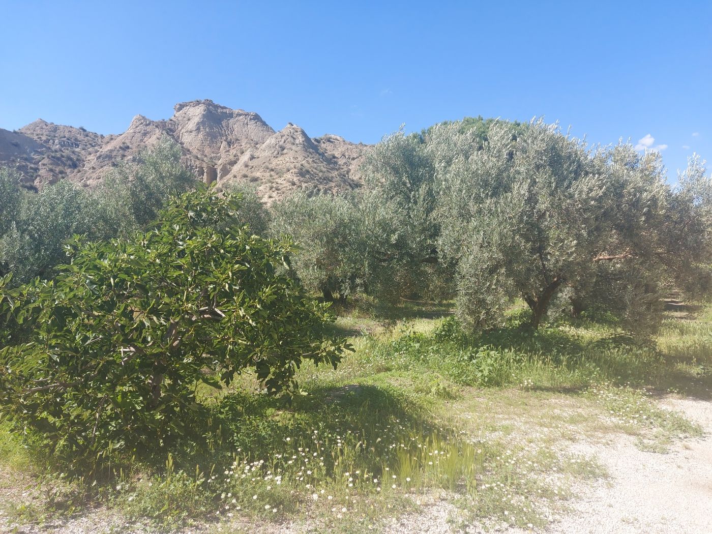 Moradia com 1 quarto em Granada, Espanha – Foto 3