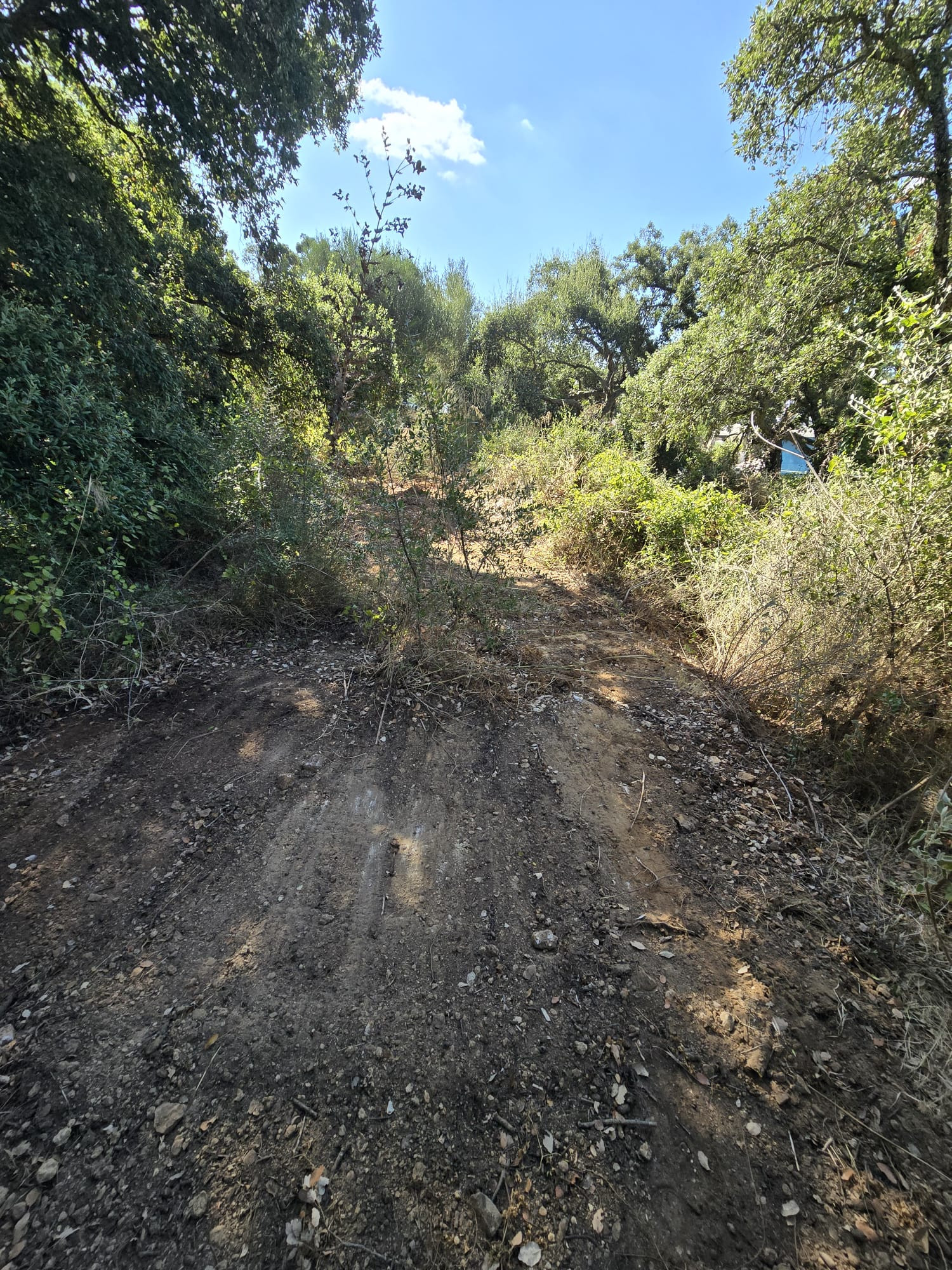 2,100 m² Plot in Sotogrande - Photo 4