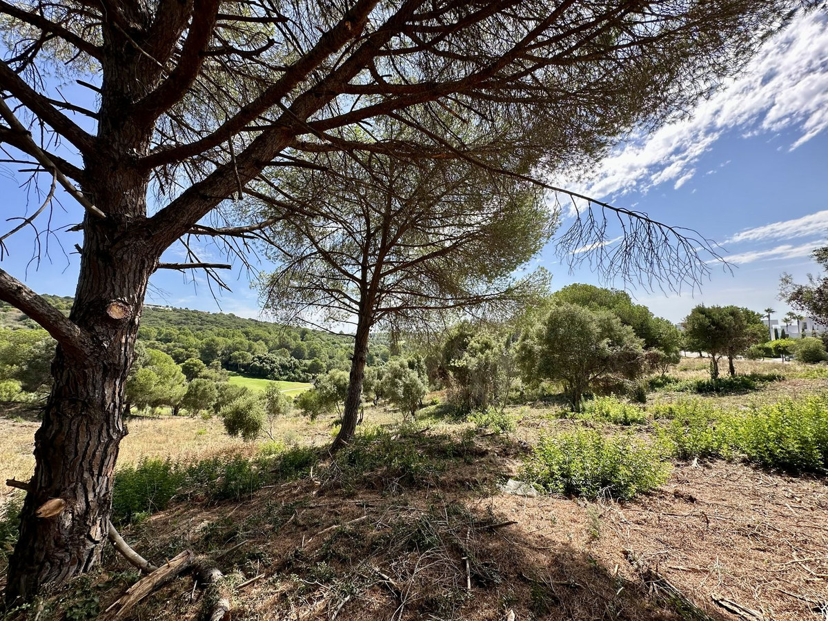 3,455 m² Plot in Sotogrande - Photo 7