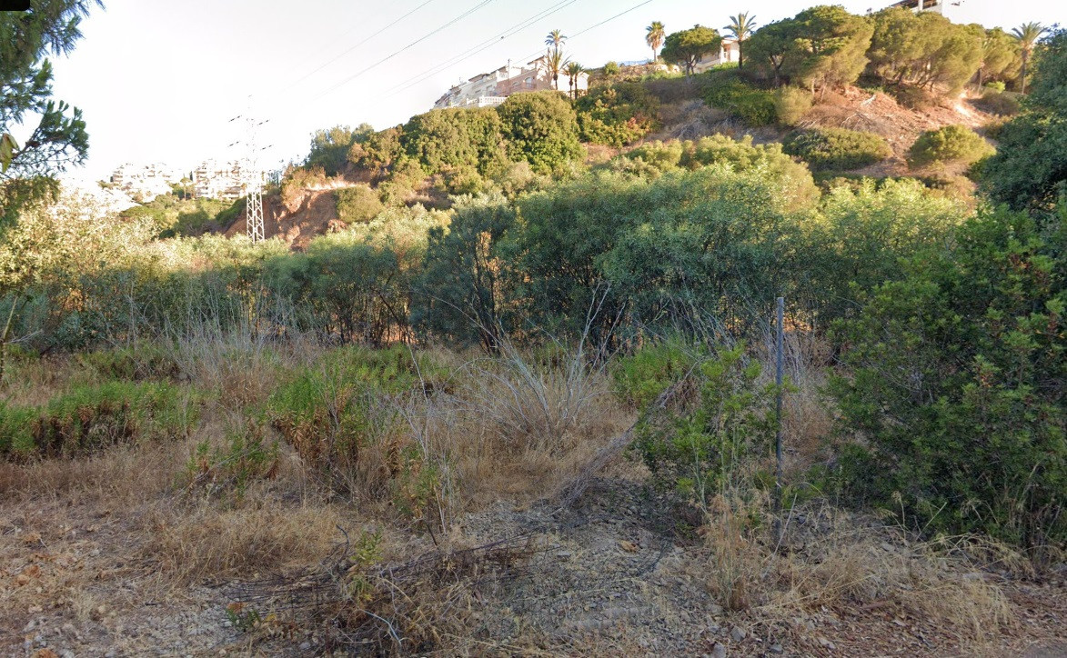 Plot in Elviria