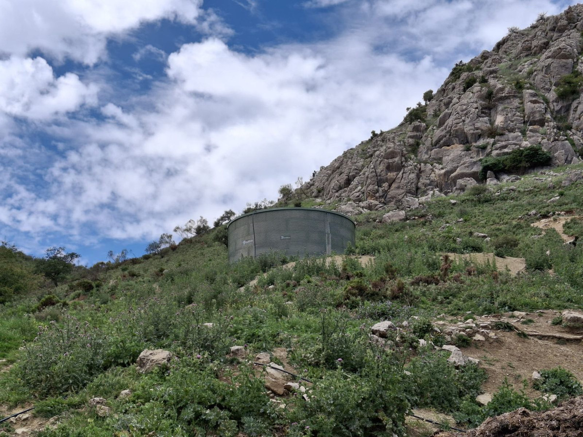 680,000 m² Plot in Alfarnatejo - Photo 16