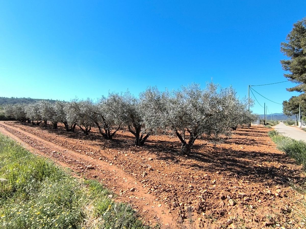 Villa de 4 chambres à Murcie, Espagne – Photo 20