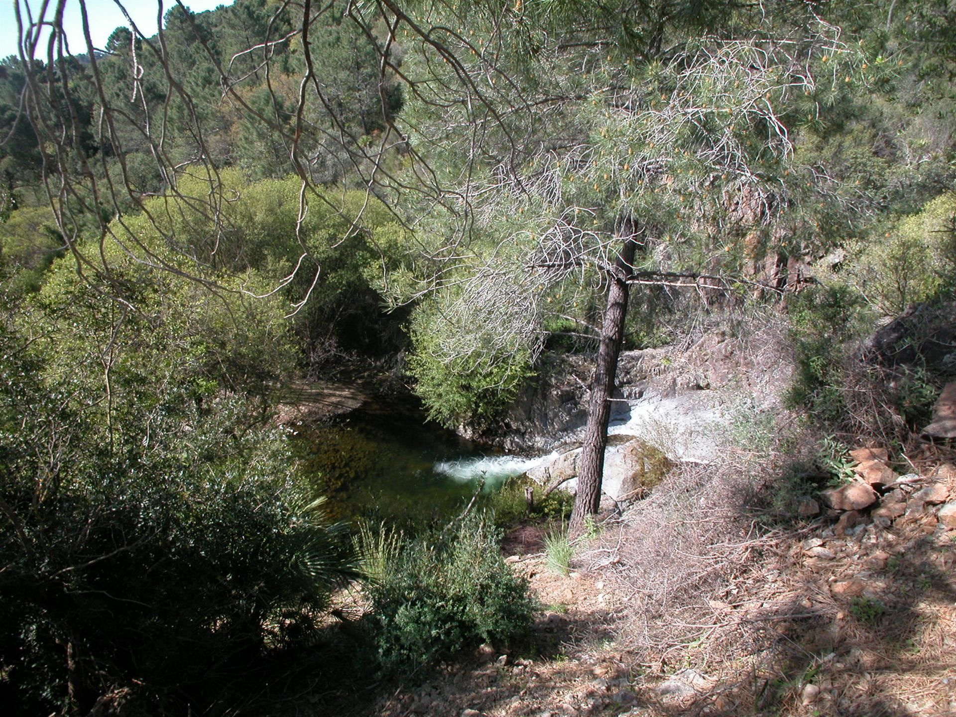 4 Bedroom Country house in Estepona - Foto 4