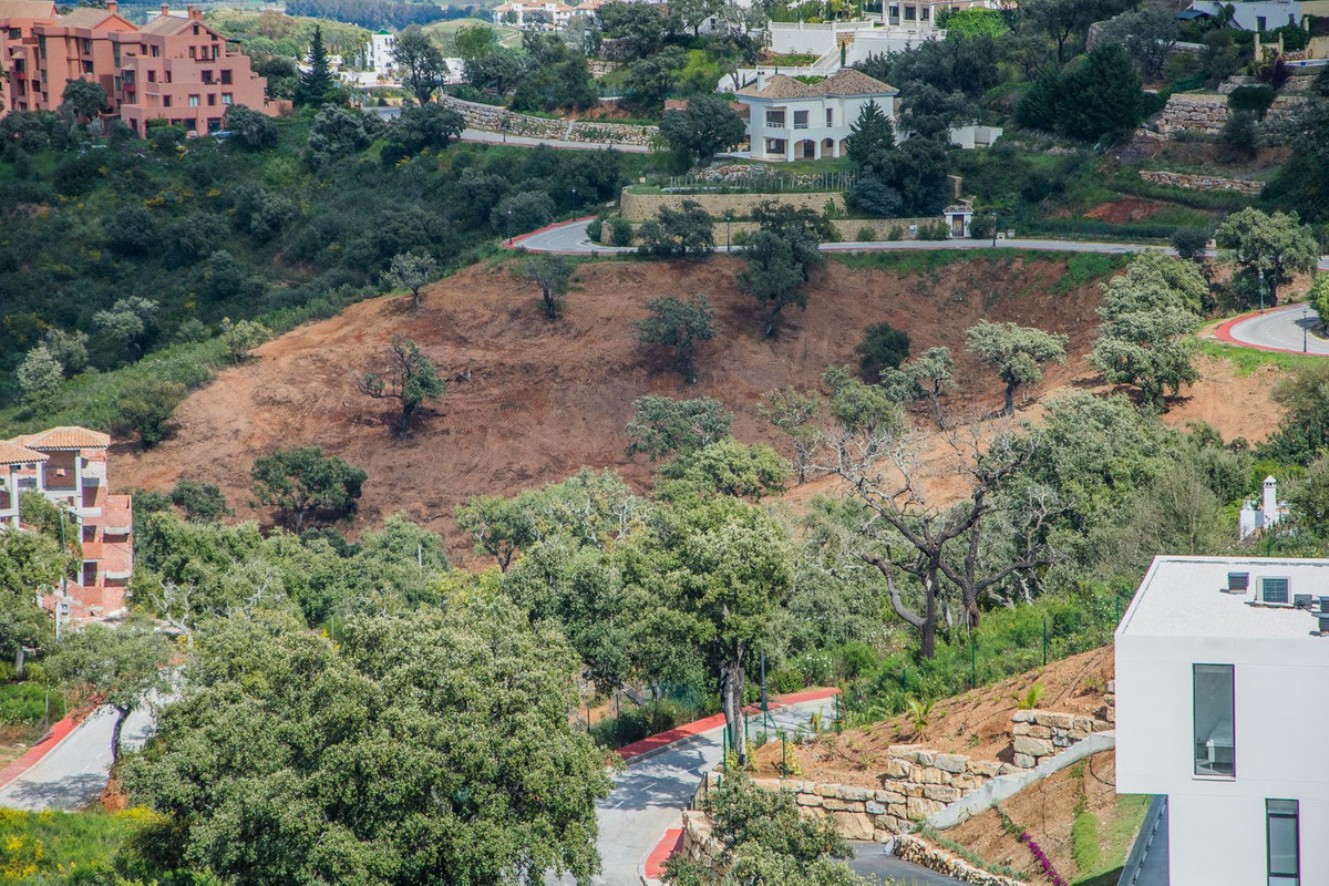 Plot in La Mairena