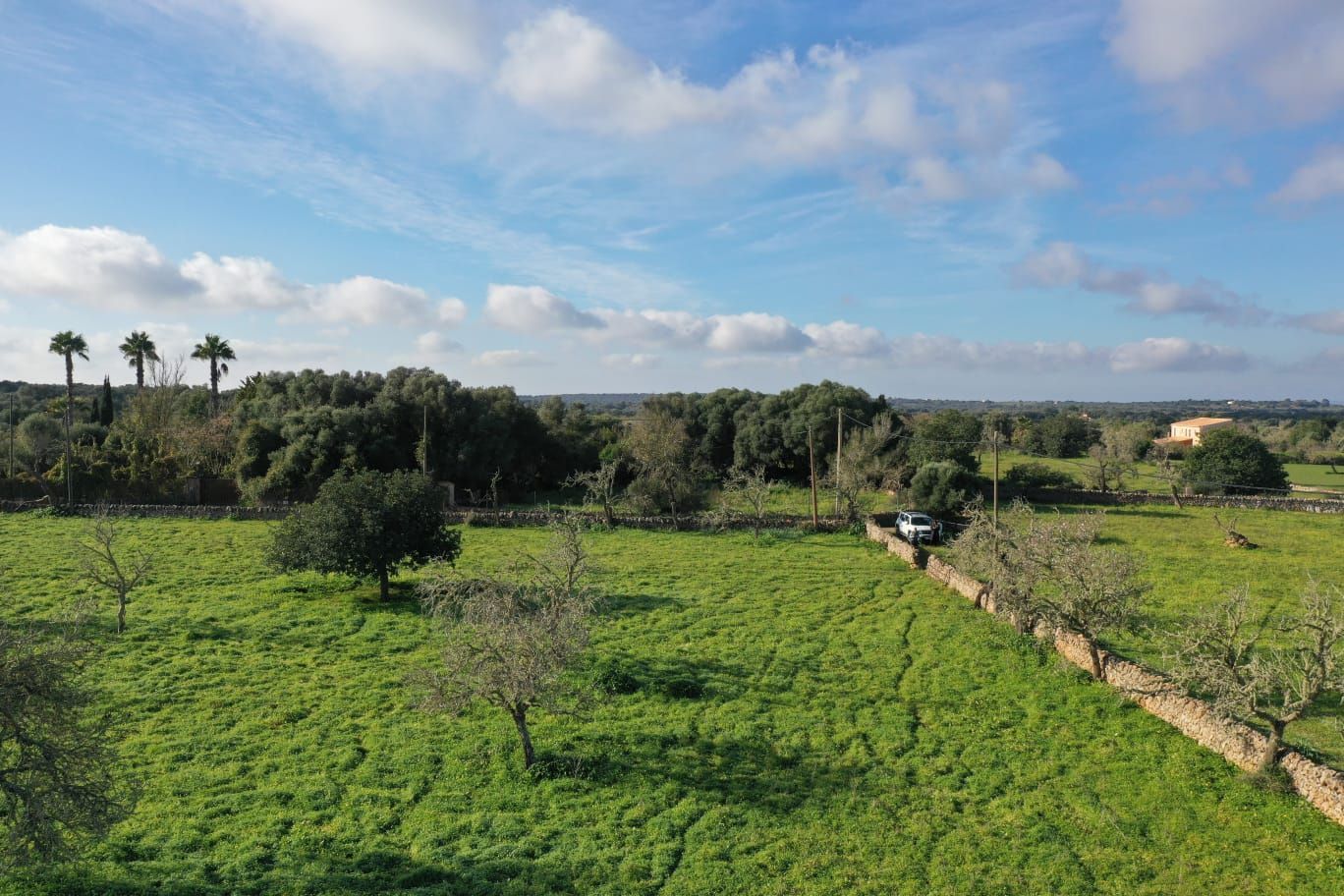Moradia com 4 quartos com piscina em Baleares, Espanha – Foto 3