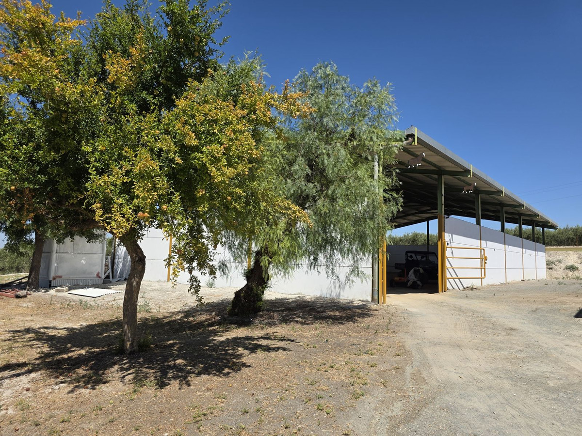 Moradia com 4 quartos com piscina em Sevilla, Espanha – Foto 17