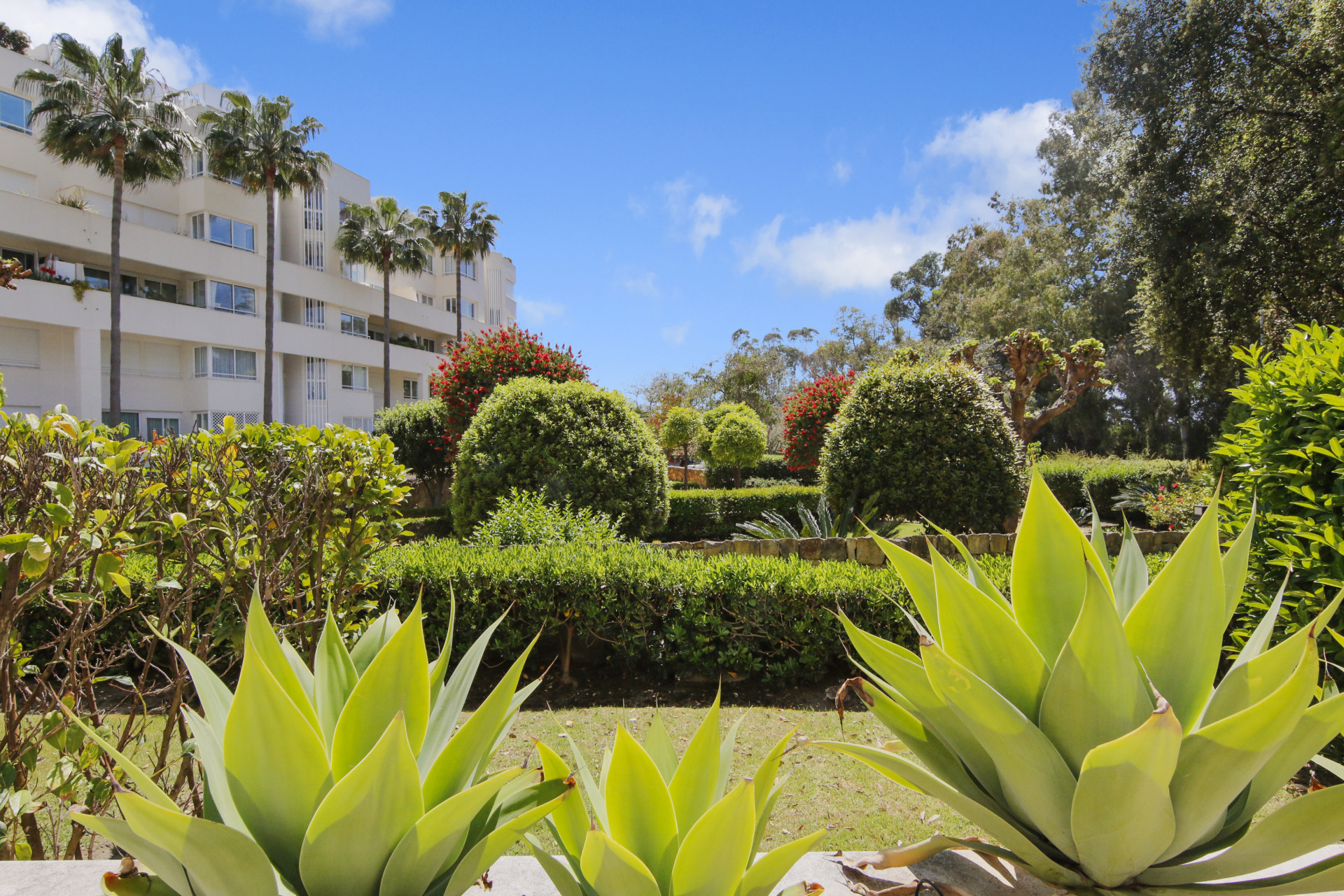 3 Bedroom Townhouse in Estepona - Photo 16