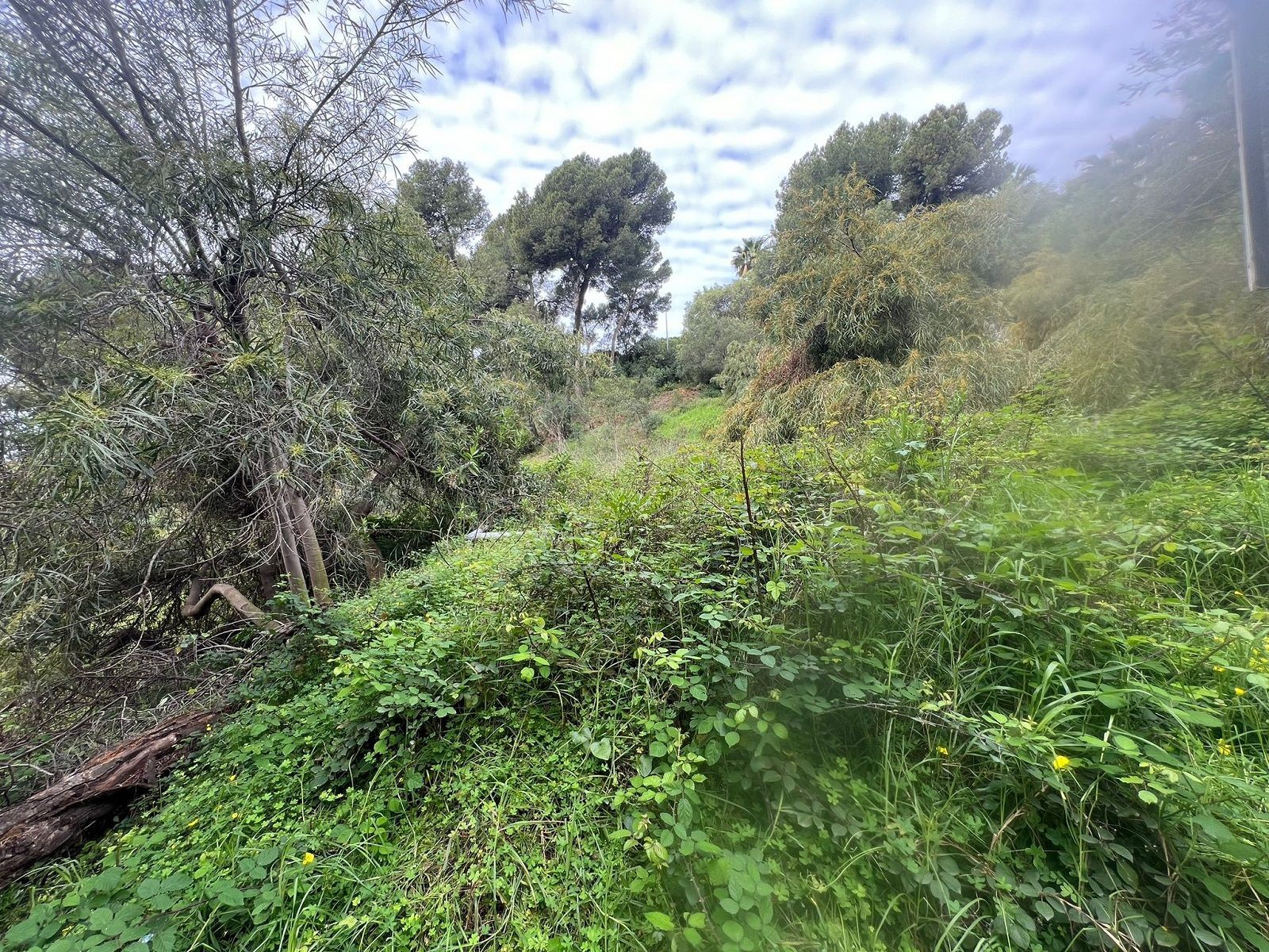 1,609 m² Plot in Marbella - Photo 2