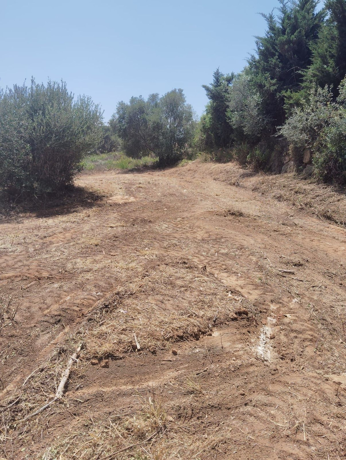 1 m² Plot in Sotogrande - Photo 4