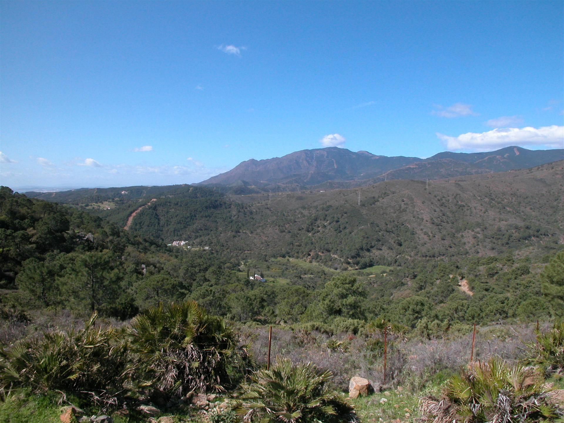 4 Bedroom Country house in Estepona - Foto 11