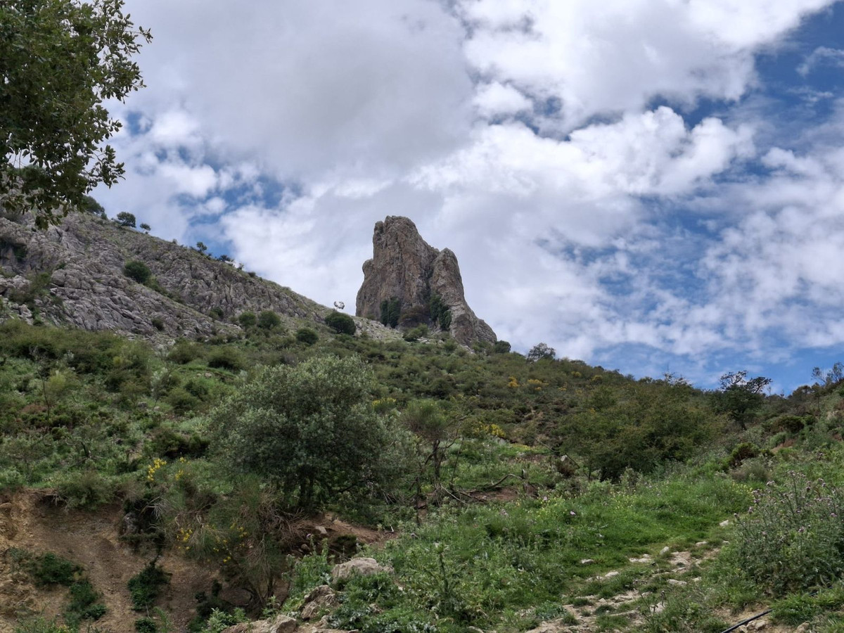 680,000 m² Plot in Alfarnatejo - Photo 15